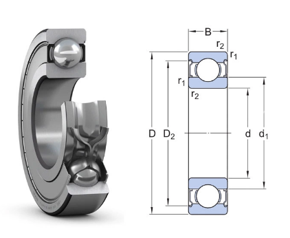 6007-2Z SKF
