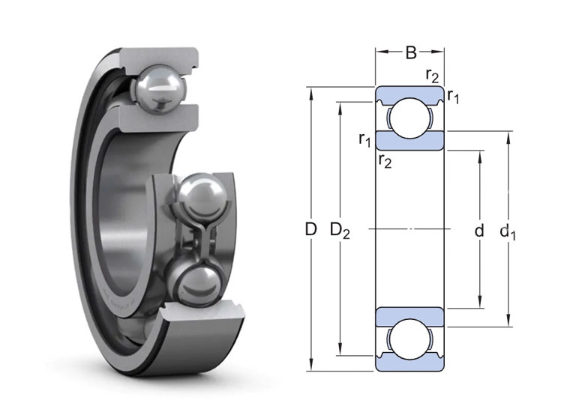 61834 SKF